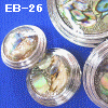 wpe29.jpg (41069 �o�C�g)