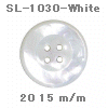 wpe17.jpg (9564 �o�C�g)