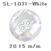 wpe1D.jpg (10399 �o�C�g)