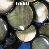 wpe31.jpg (21947 �o�C�g)