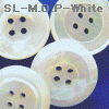 wpe2F.jpg (16386 �o�C�g)