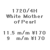 wpe41.gif (981 �o�C�g)