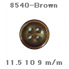 wpe5.jpg (10364 �o�C�g)