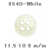 wpe11.jpg (7709 �o�C�g)