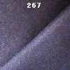 c_267.jpg (41481 �o�C�g)