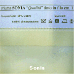 wpe1.jpg (21059 �o�C�g)