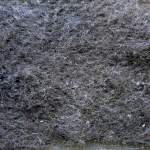 wpe71.jpg (45377 �o�C�g)