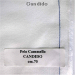 wpe3C.jpg (28549 �o�C�g)