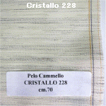 wpe39.jpg (31833 �o�C�g)