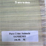 wpe5.jpg (43765 �o�C�g)