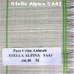 wpe1.jpg (46491 �o�C�g)