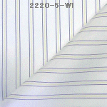 wpe1F.jpg (19456 バイト)