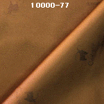 wpe14.jpg (17815 バイト)