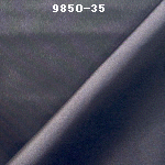 wpe2E.jpg (22716 バイト)