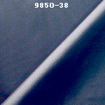 wpe1D.jpg (22824 バイト)