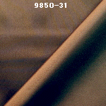 wpe9.jpg (24326 バイト)