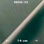 wpe1.jpg (17011 バイト)