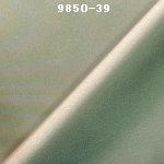 wpe38.jpg (15948 バイト)