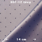 wpe80.jpg (46271 バイト)