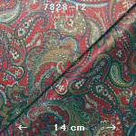 wpeF.jpg (81421 バイト)