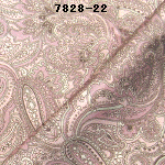 wpe1.jpg (65579 バイト)